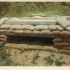 2nd Plt line bunker